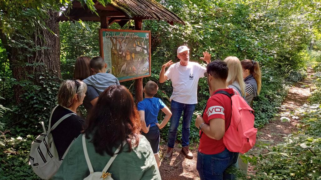 Oasi della Bóra, il bosco segreto con risorgive, fontanili e piante sorprendenti